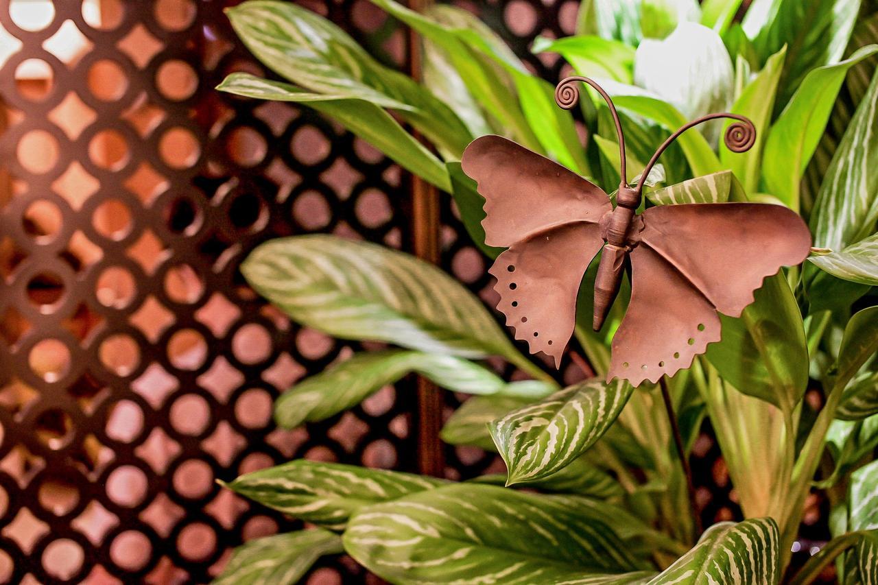 Cai She Hotel Tajpej Kültér fotó